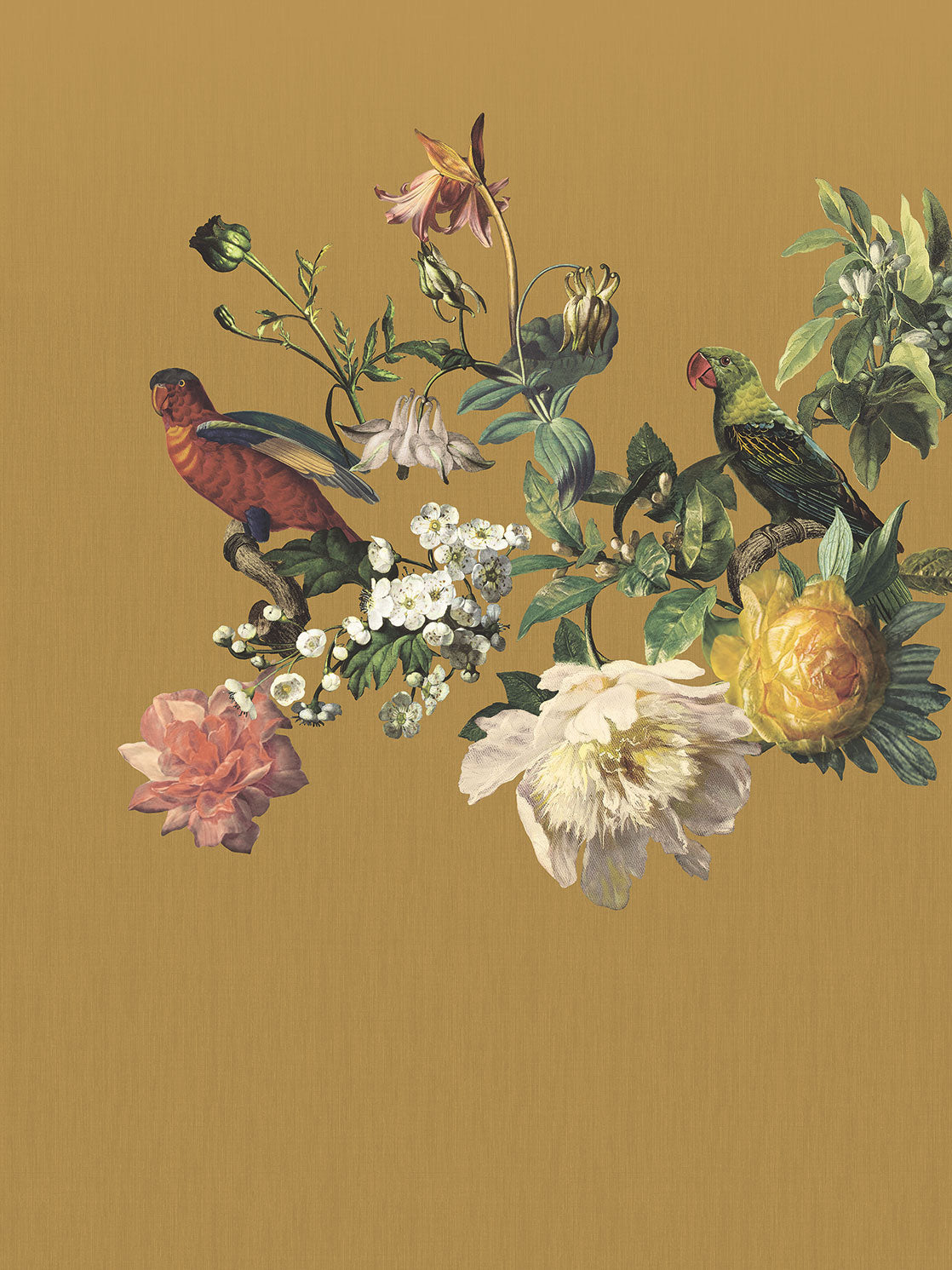 MUSEUM Wallpaper Mural Floral Birds - Crockers Paint & Wallpaper