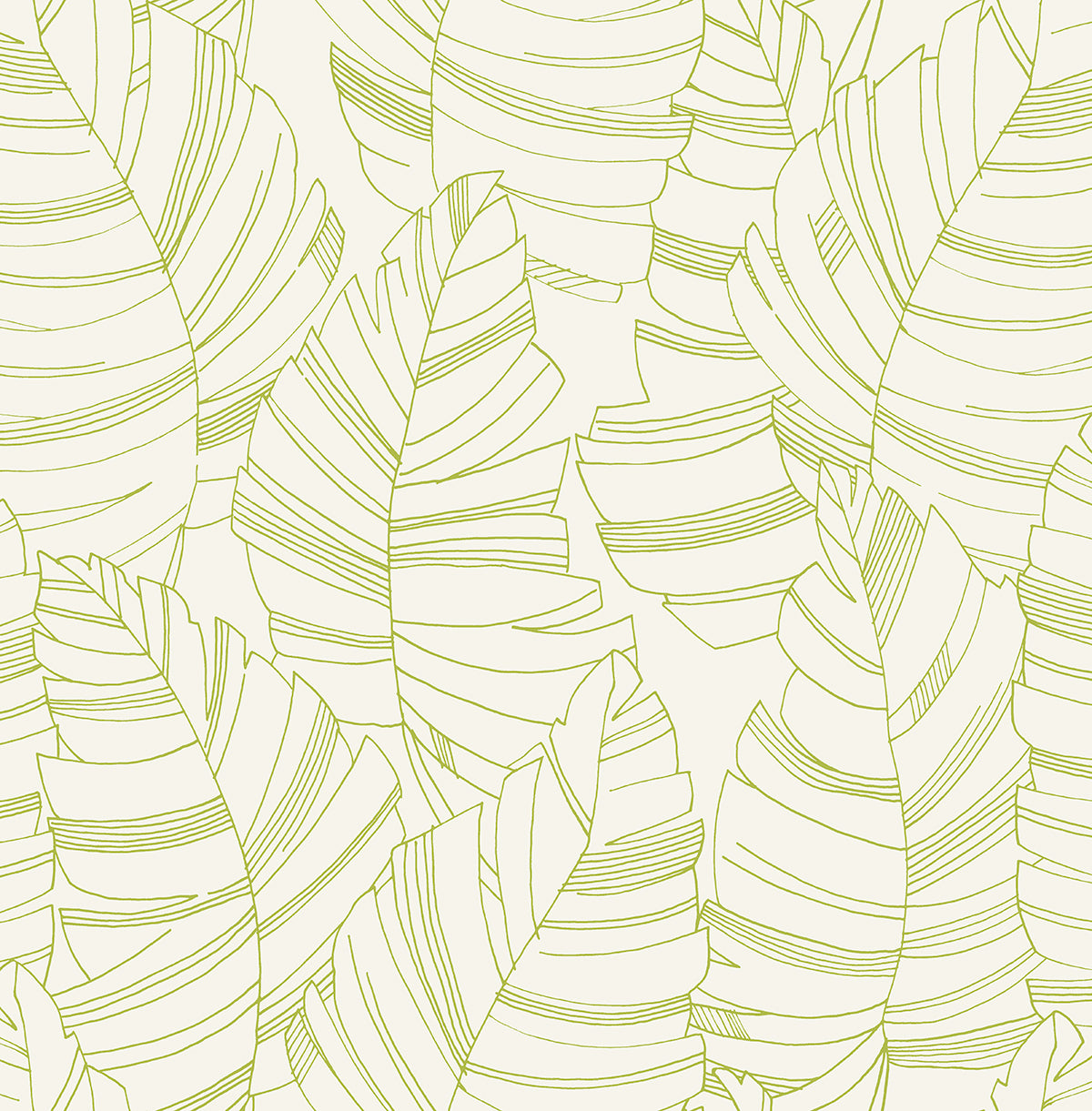 Daydreamers Wallpaper Linework Leaves - Crockers Paint & Wallpaper